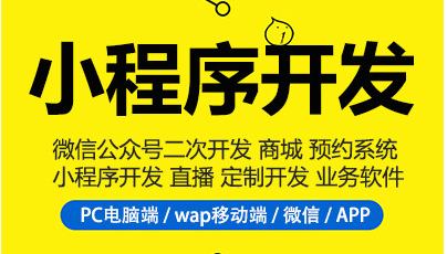 制作小程序，不知道小程序分類，小程序制作很難